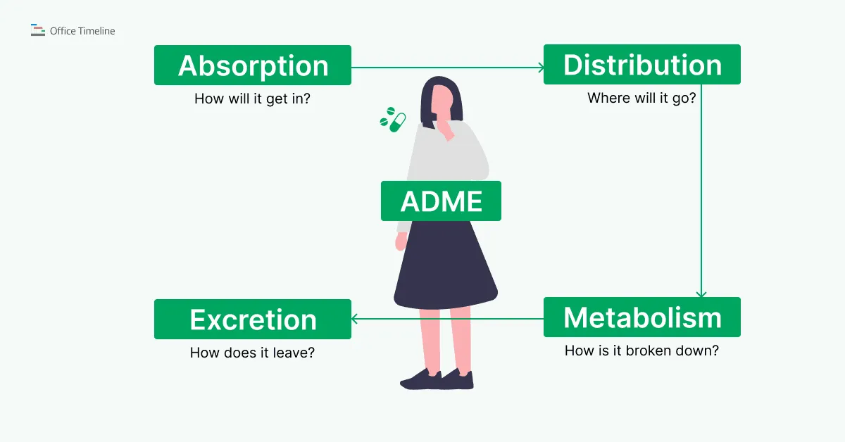 ADME process