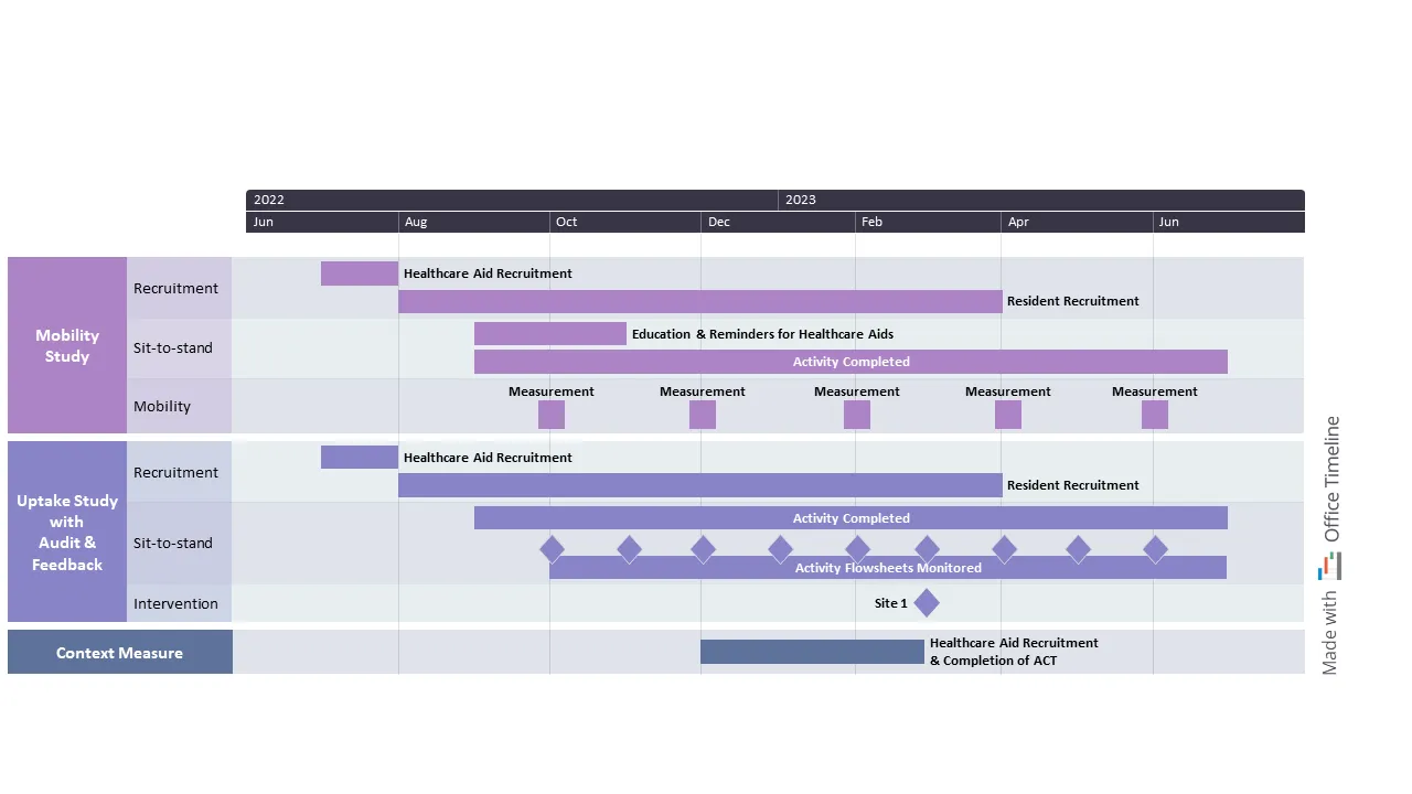 Healthcare project timeline