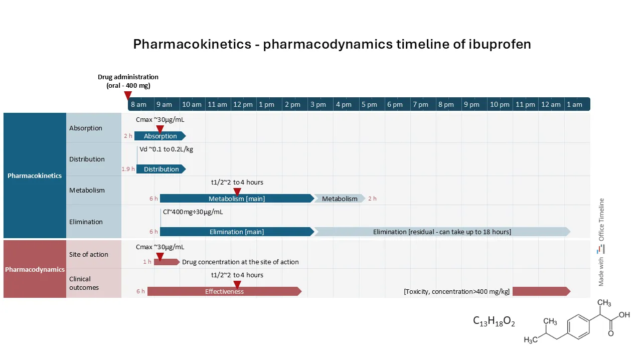 Pharmacokinetics vs pharmacodynamics timeline of ibuprofen