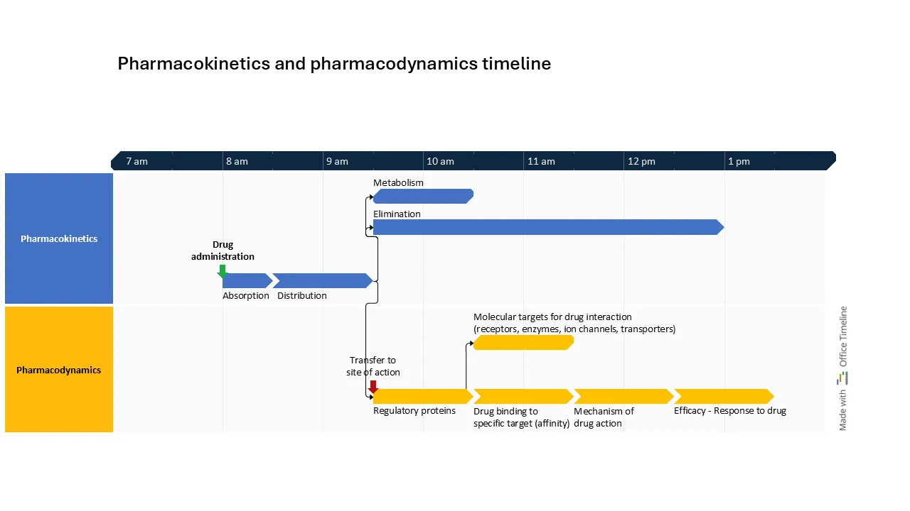 Pharmacokinetics and pharmacodynamics timeline