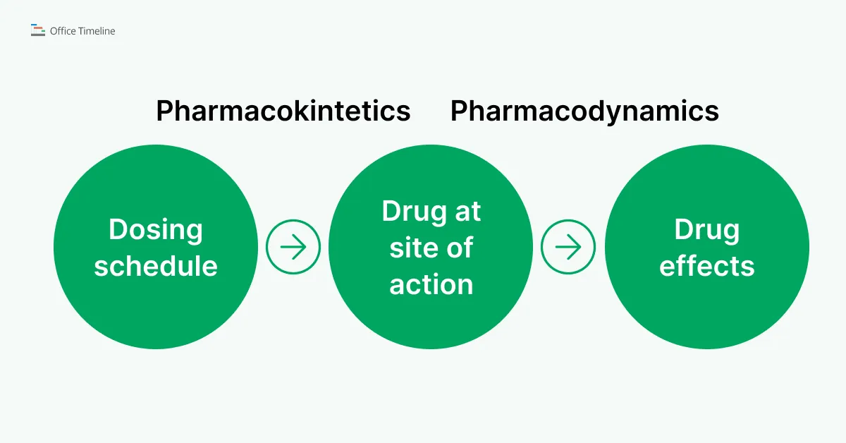 Pharmacokinetics vs Pharmacodynamics