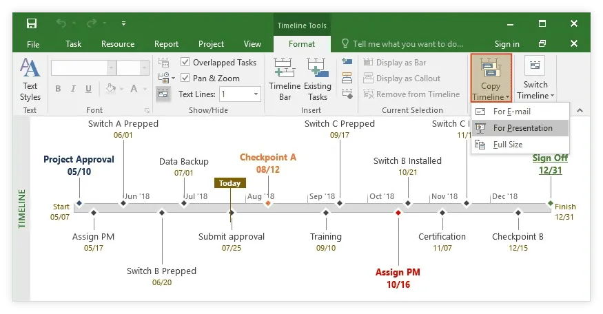 Share your MS Project timeline