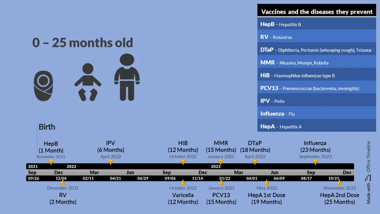 Vaccination timeline from birth to 25 months
