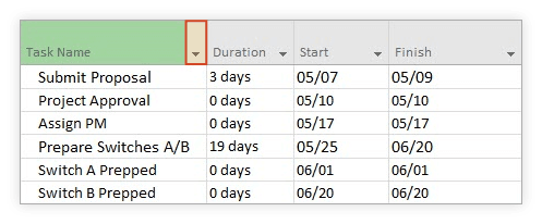 MS Project Timeline Tutorial | Free Template | Export to PPT