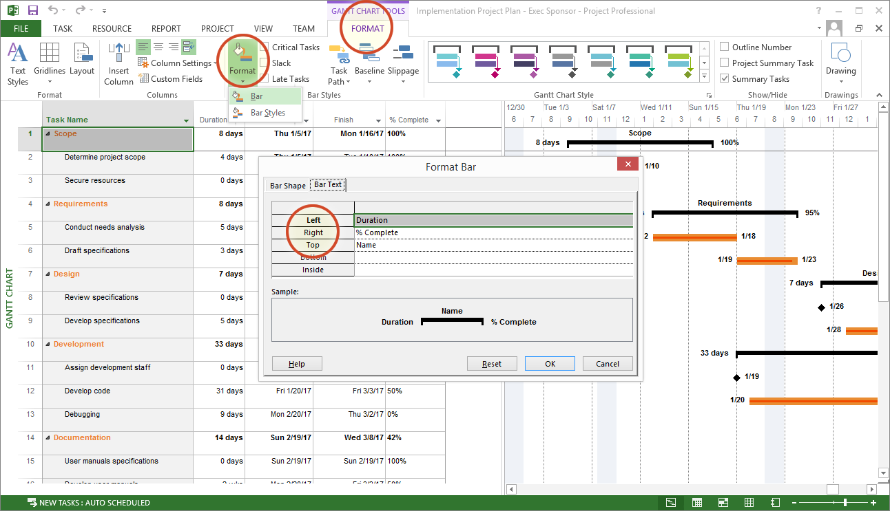 how to show task name on gantt chart ms project