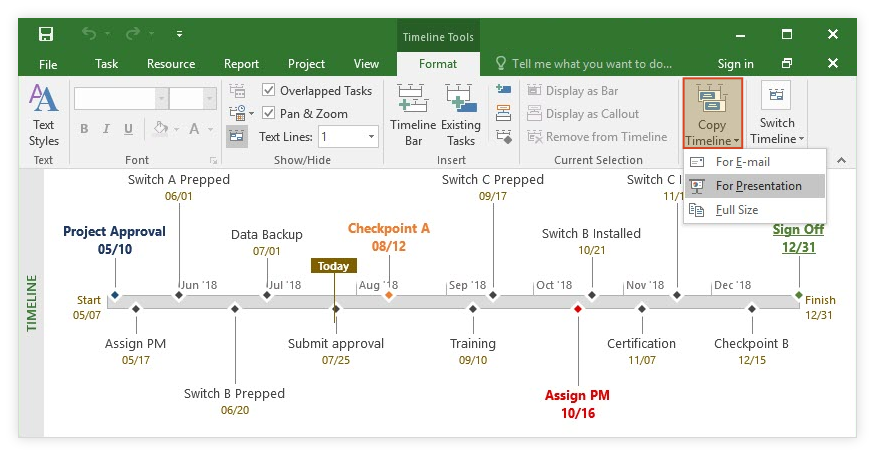 ms project timeline formatting