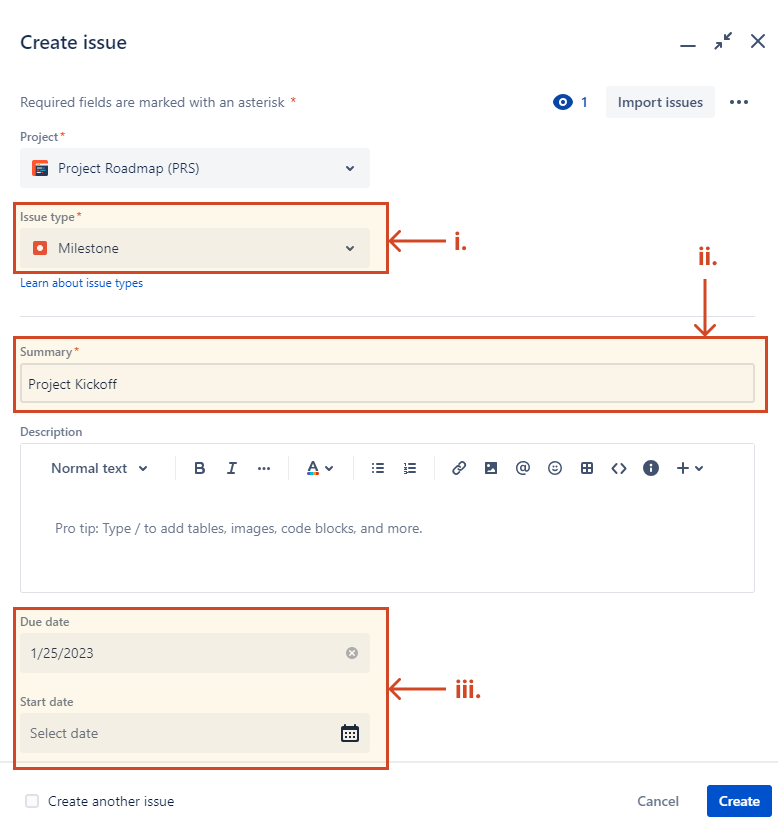 Input the details of your project issues in Jira