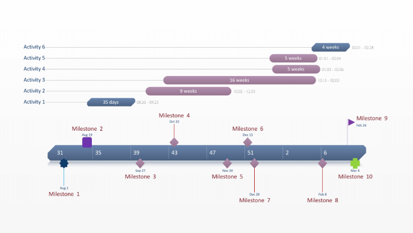 work timeline schedule by weeks template